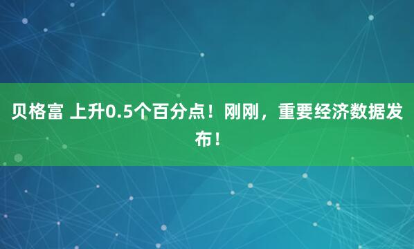 贝格富 上升0.5个百分点!刚刚,重要经济数据发布!