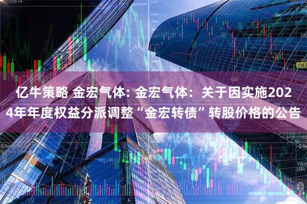 亿牛策略 金宏气体: 金宏气体：关于因实施2024年年度权益分派调整“金宏转债”转股价格的公告