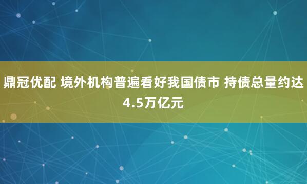 鼎冠优配 境外机构普遍看好我国债市 持债总量约达4.5万亿元