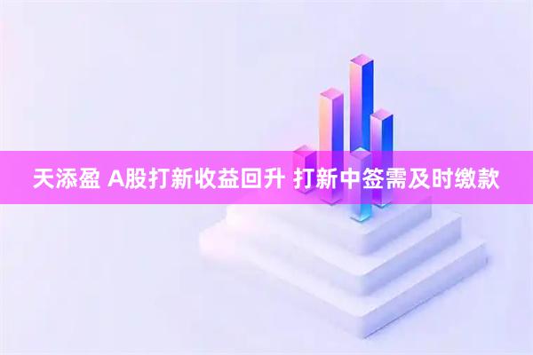 天添盈 A股打新收益回升 打新中签需及时缴款