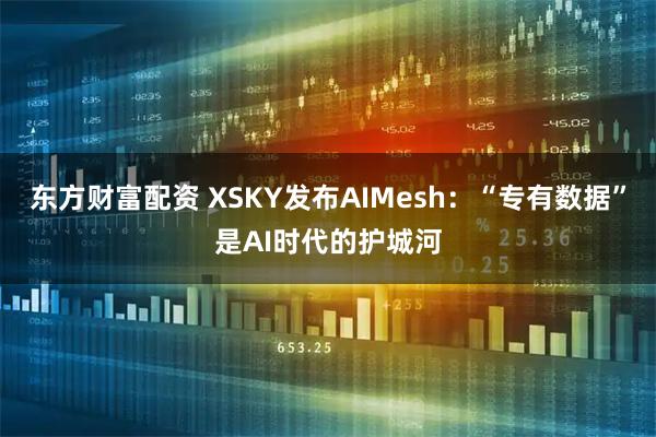 东方财富配资 XSKY发布AIMesh：“专有数据”是AI时代的护城河