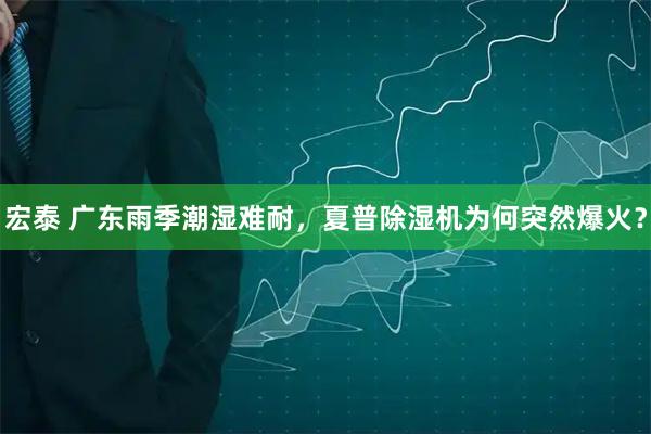 宏泰 广东雨季潮湿难耐，夏普除湿机为何突然爆火？